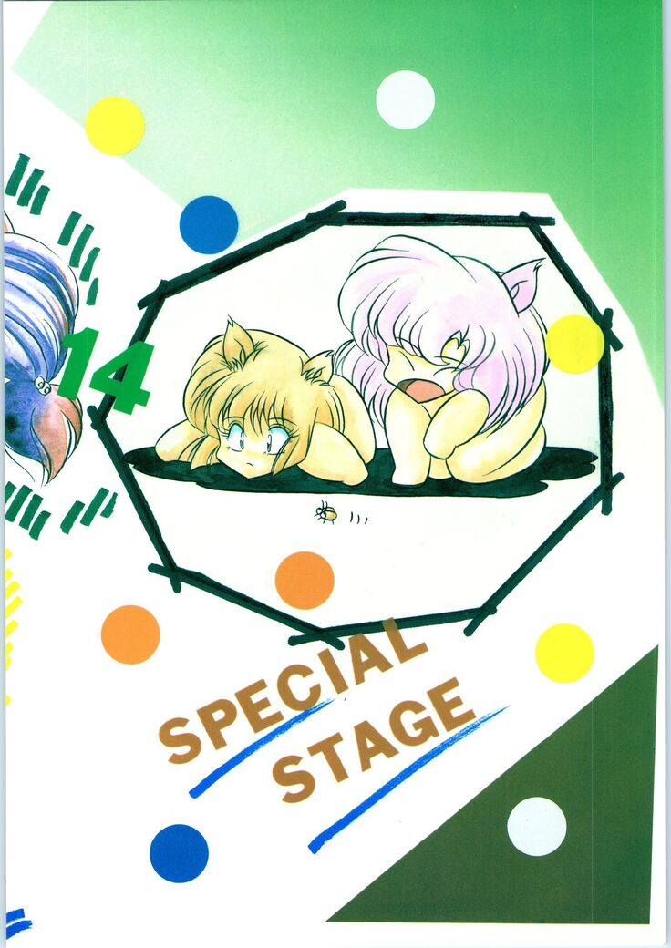 C-COMPANY SPECIAL STAGE 14
