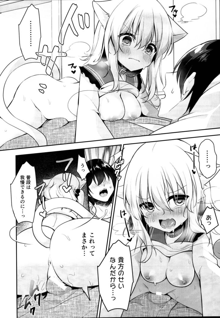 Hatsujouki no Nyan Koishi