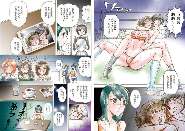 Club Metomin: Sumomo VS Mint Anthology