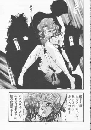 Moon Sailor VIVA! Page #14