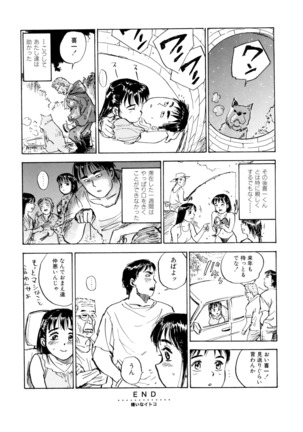 Miyo-chan's Diary Page #25
