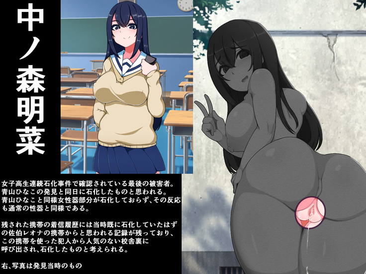 hukusyuu sekika apuri 3～yosikousei renzoku sekika ziken、tokubetu sousahan～