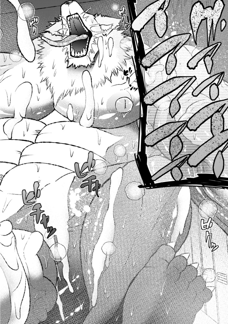 TF BEAST