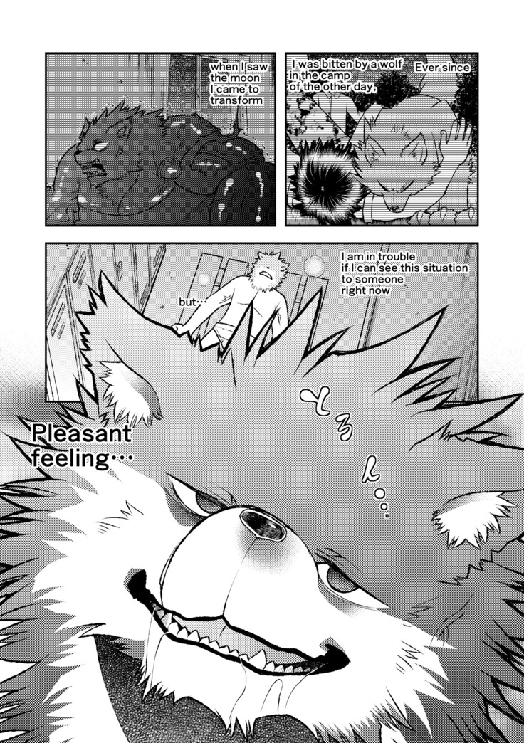 TF BEAST