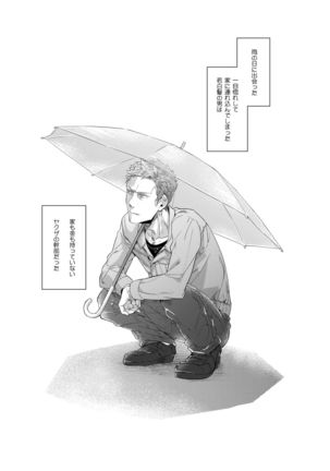 Image 2266388