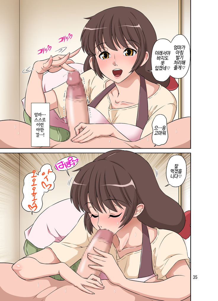 Sewayaki Mama, Musuko ni Hamerareru. |돌보기 좋아하는 엄마, 아들한테 박혀버리다