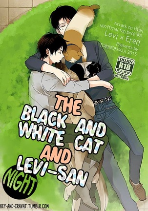 The Black and White Cat and Levi-san