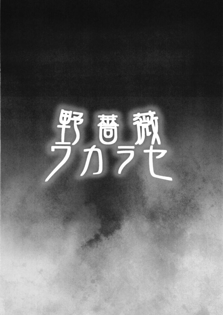 Nobara Wakarase