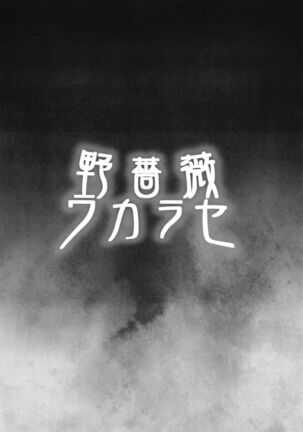 Nobara Wakarase Page #18