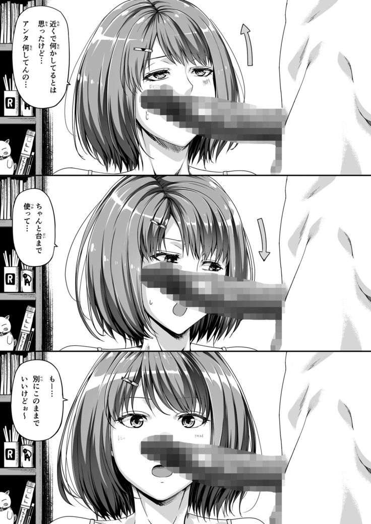 Ore wa Kanojo o Tomenakatta. kouhen