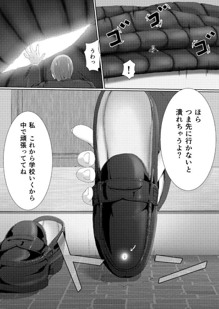 Soutaisei Kyodai Shoujo