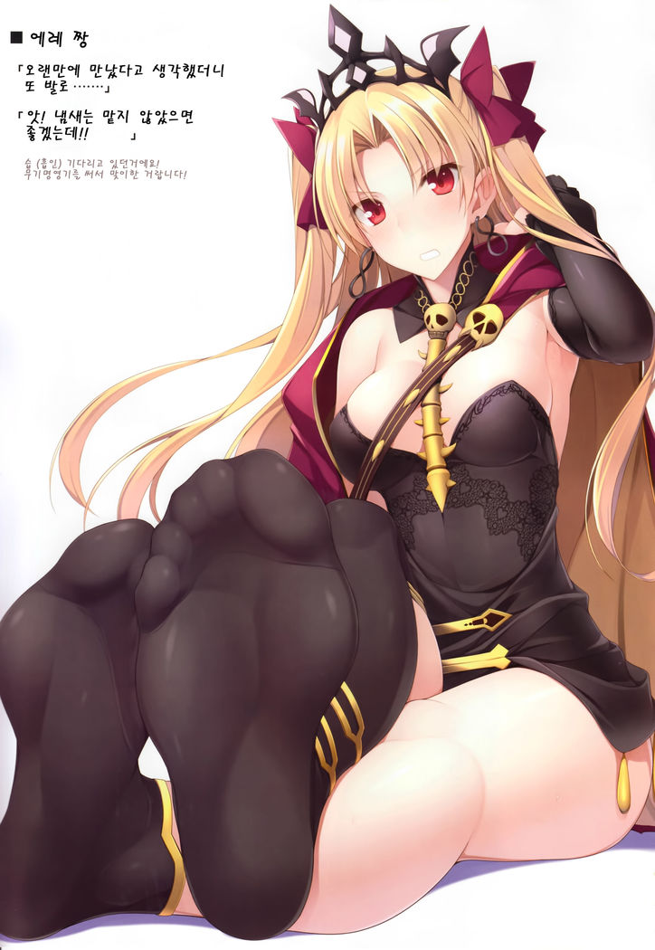 FGO no Ashibon 6 | FGO의 발 책 6