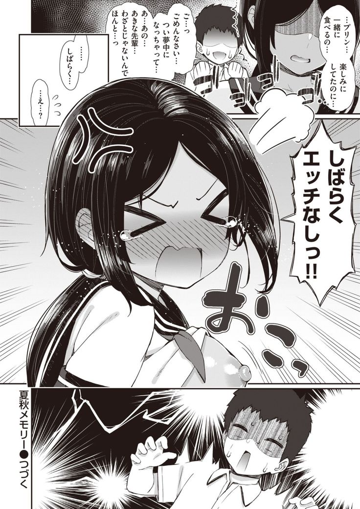 NatsuAki Memory 1-4