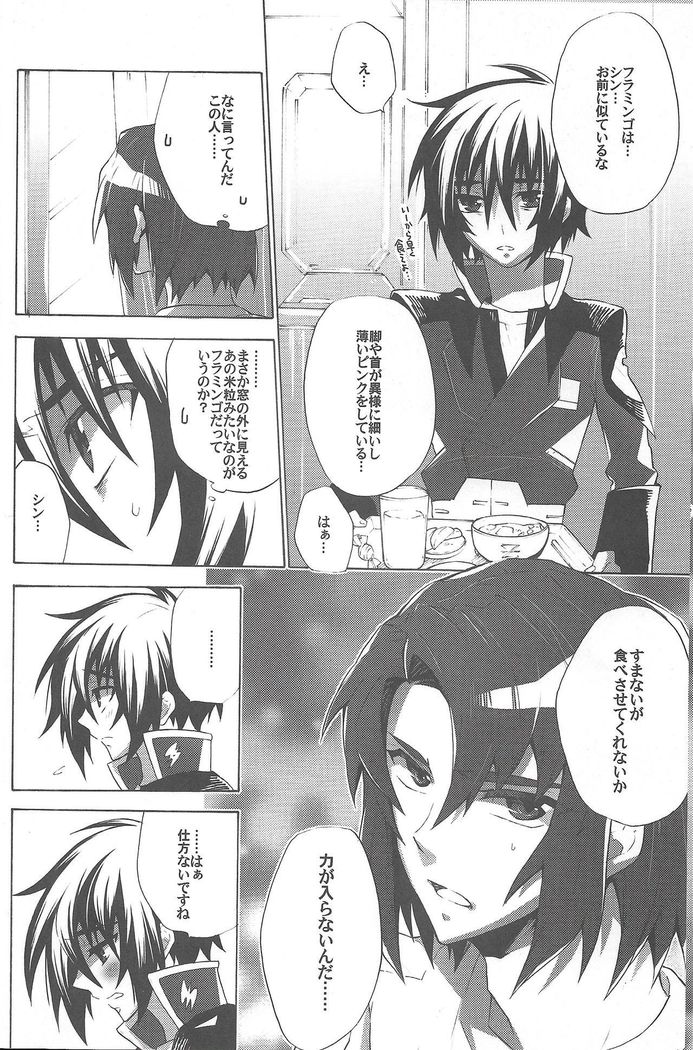 Kimio no Taion wa Uso Mitai na Shiawase