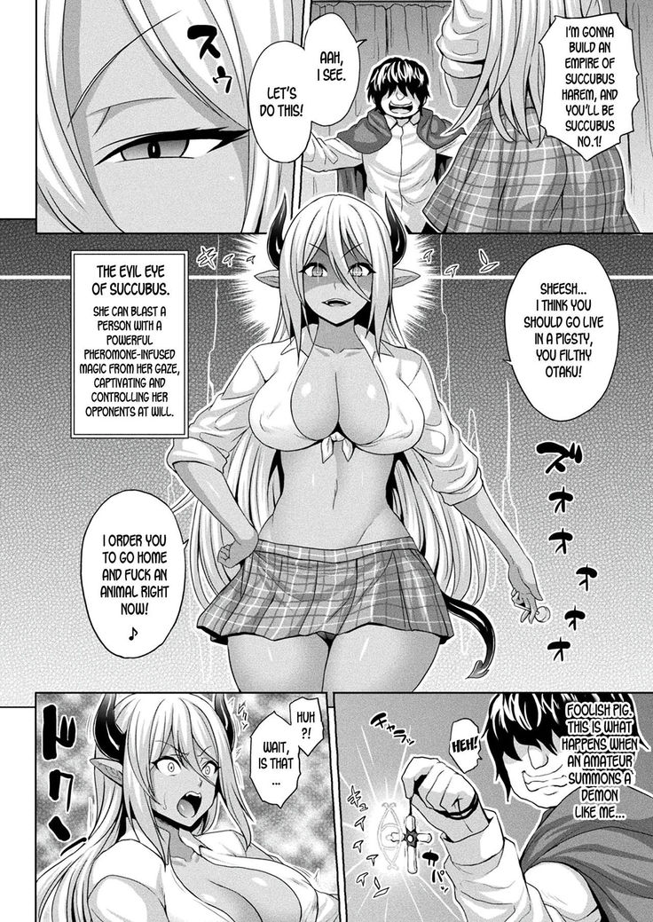 Mesubuta Inma no Chigiri - Contract of Bitch Succubus