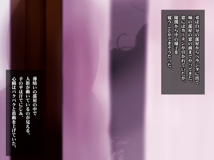 ある日、弟が覗き見たのは不良たちに昏睡レ〇プされる大好きだった姉の姿だった。