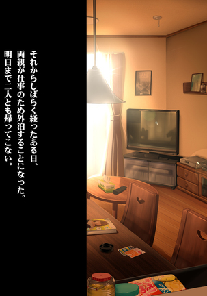 ある日、弟が覗き見たのは不良たちに昏睡レ〇プされる大好きだった姉の姿だった。 - Page 9