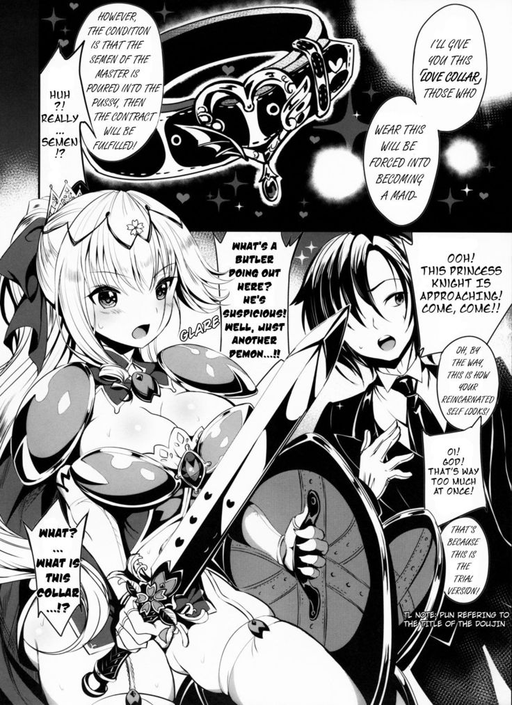Himekishi o Maid ni Shimasu! Taikenban!
