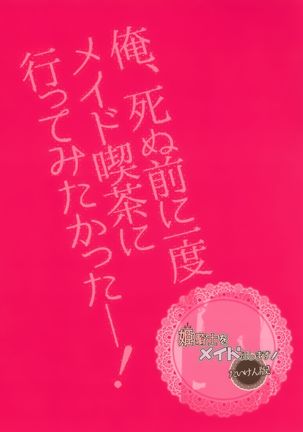Himekishi o Maid ni Shimasu! Taikenban! Page #15