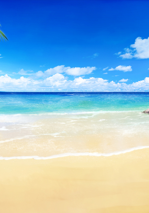 Get 'Em Pregnant On The Beach! Page #517