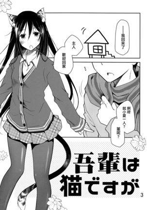 Image 8353523