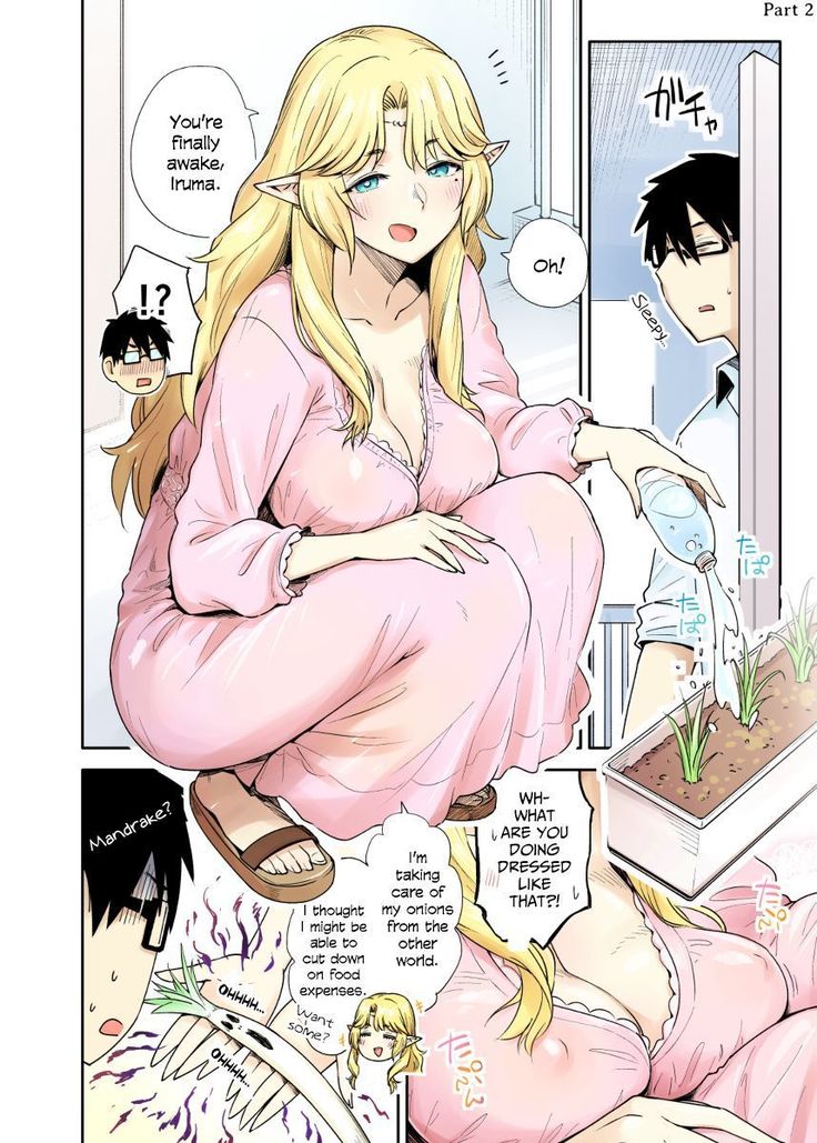 Rinjin Elf Manga