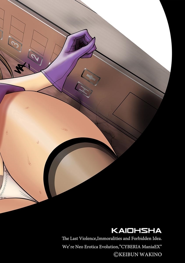 Cyberia Maniacs Chikan Ryoujoku Paradise Vol.2