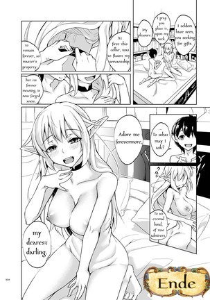 Toaru Elf o Hikitorimashite | Taking Care of a Certain Elf Page #23