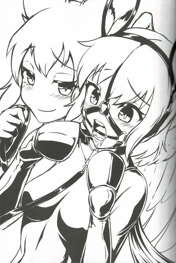 東方ゴム絵巻 第三集 ~口枷之巻~