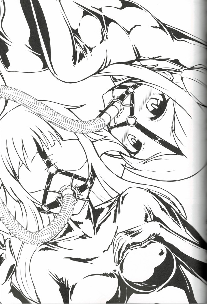 東方ゴム絵巻 第三集 ~口枷之巻~
