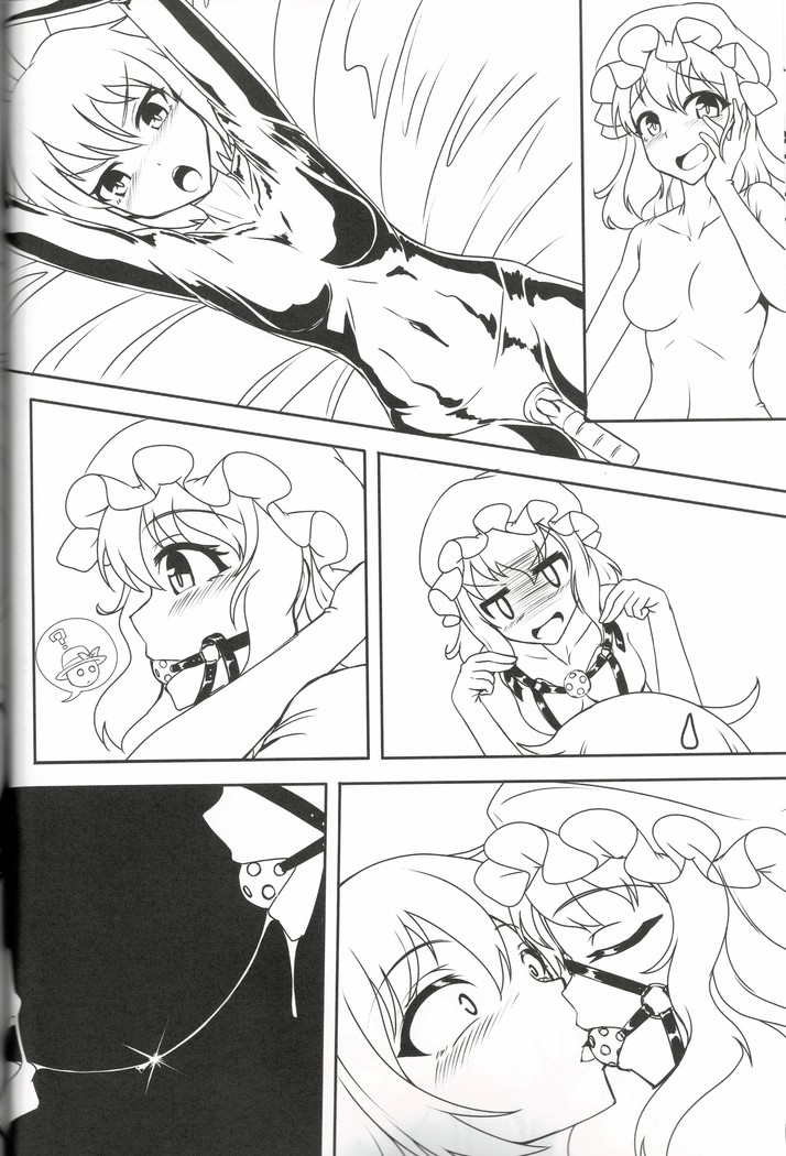東方ゴム絵巻 第三集 ~口枷之巻~