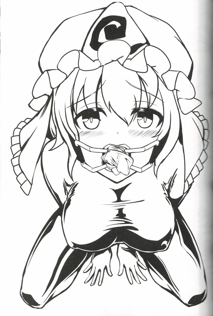 東方ゴム絵巻 第三集 ~口枷之巻~