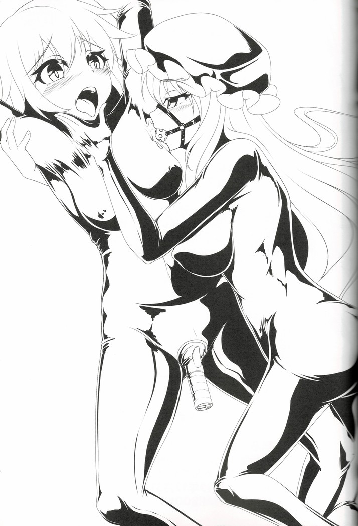 東方ゴム絵巻 第三集 ~口枷之巻~
