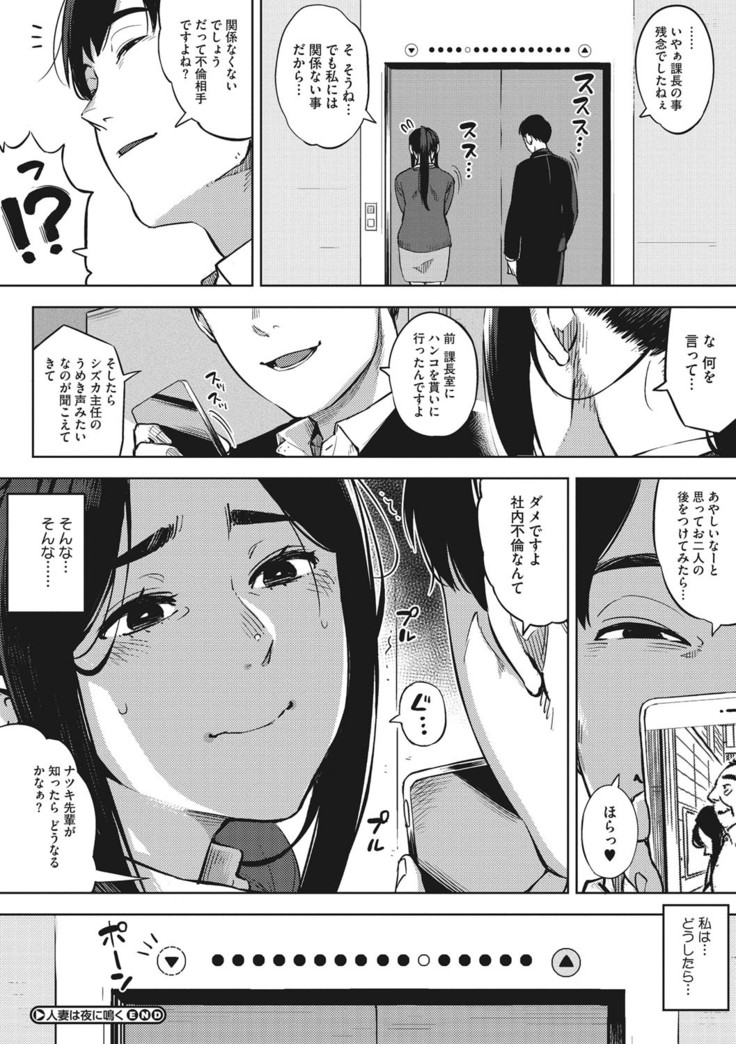 Hitozuma No Rirekisho