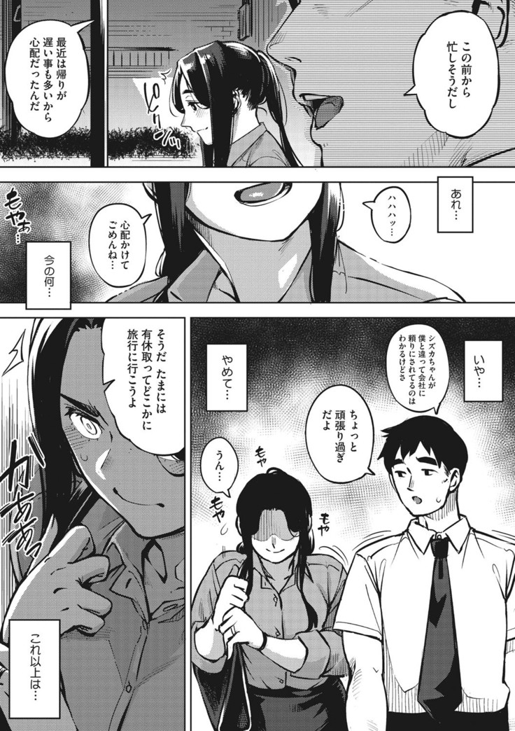 Hitozuma No Rirekisho