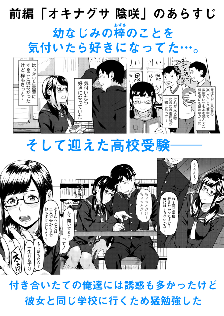 オキナグサ 初咲