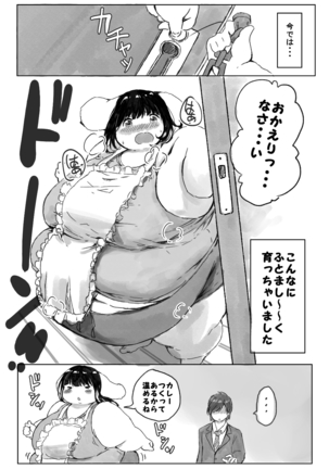 500 pounds of Nopu-chan