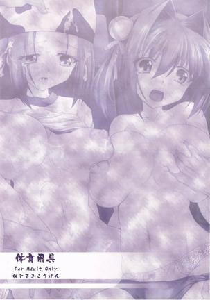 体育用具 Page #26