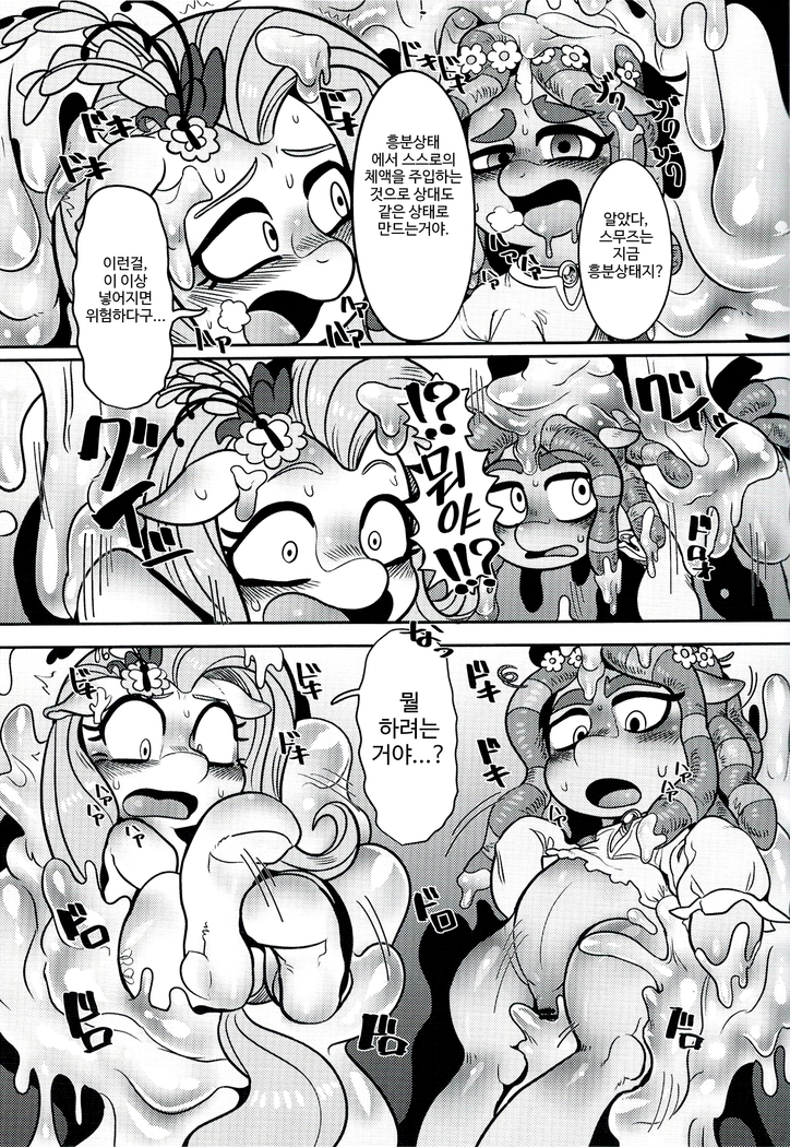 Shinsetsu no hacho