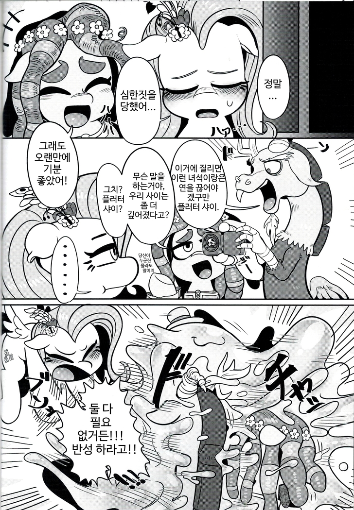 Shinsetsu no hacho