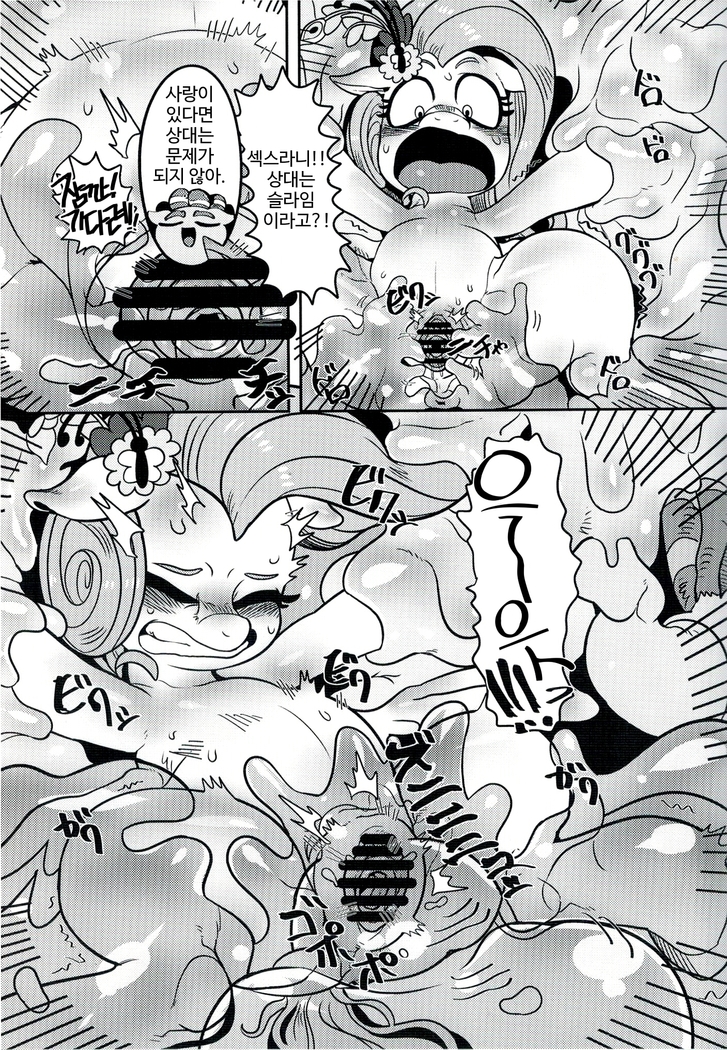 Shinsetsu no hacho