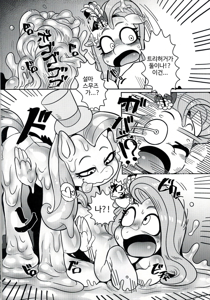 Shinsetsu no hacho