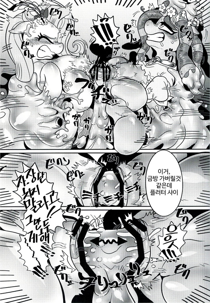 Shinsetsu no hacho