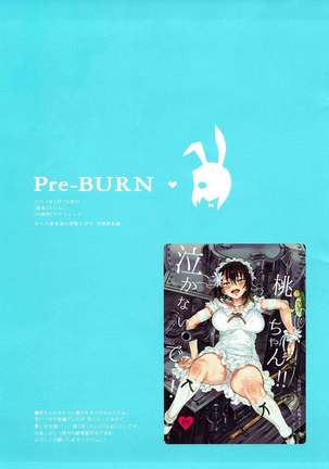 Pre-BURN - Page 11