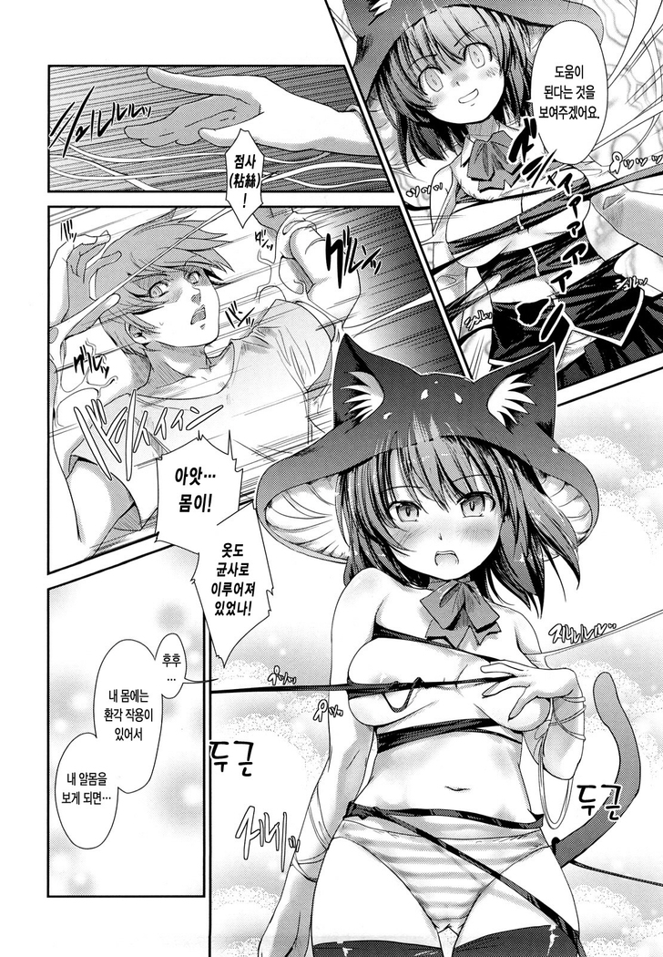 Nekokino to Ame no Machi