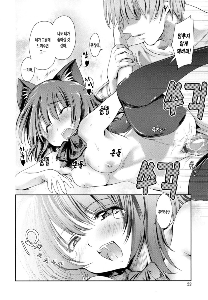 Nekokino to Ame no Machi