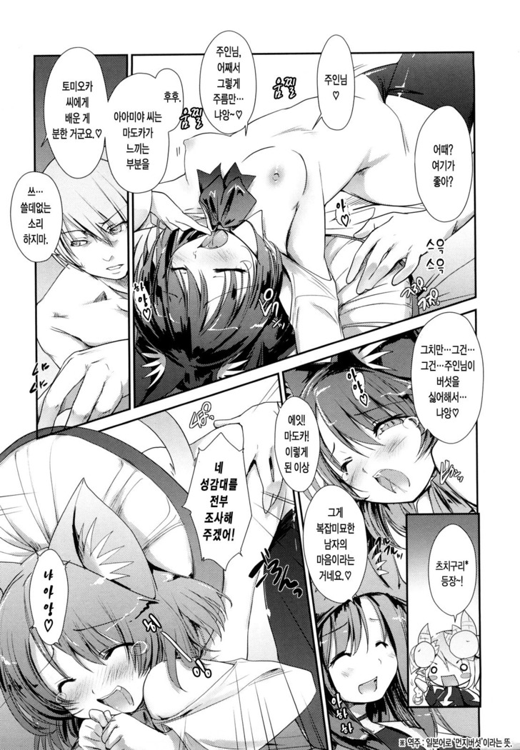 Nekokino to Ame no Machi