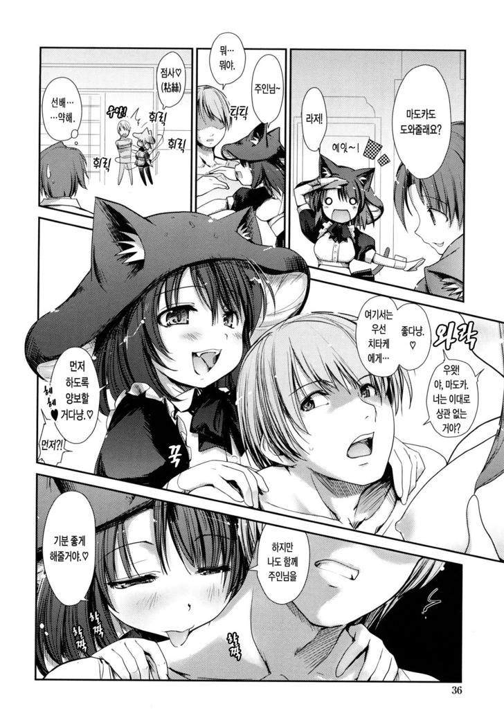 Nekokino to Ame no Machi