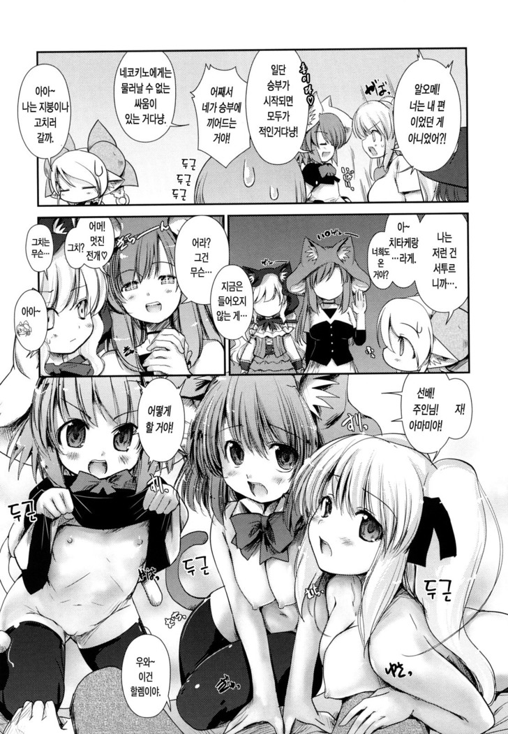 Nekokino to Ame no Machi