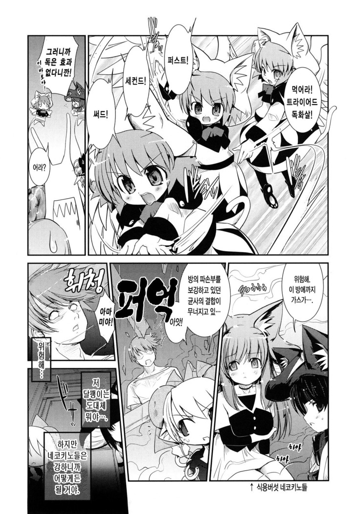 Nekokino to Ame no Machi